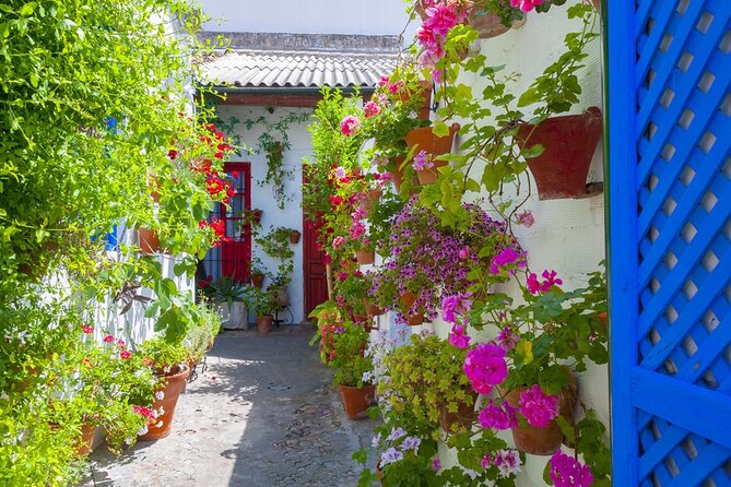 2-Day Guided Tour to Cordoba and Seville from Madrid - Leaving Madrid through La Mancha