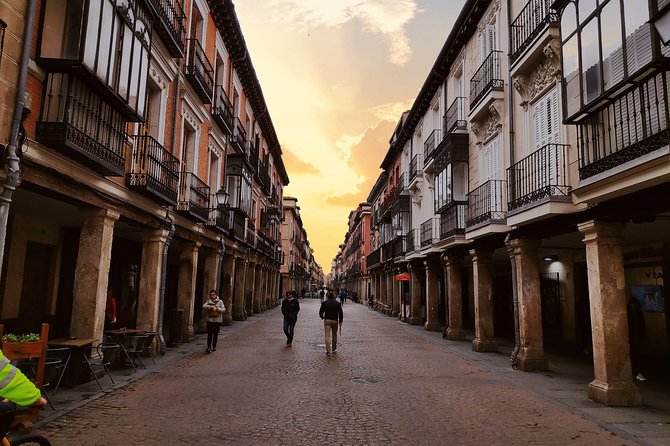 Alcala de Henares and Cervantes Guided Tour from Madrid - The University of Alcalá and the work of Cardinal Cisneros