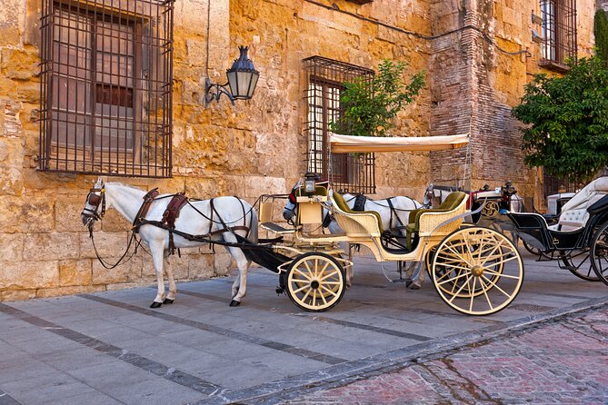 Andalusian Highlights: 6-Day Guided Tour from Madrid - Ronda and the Costa del Sol: scenery with less historical depth