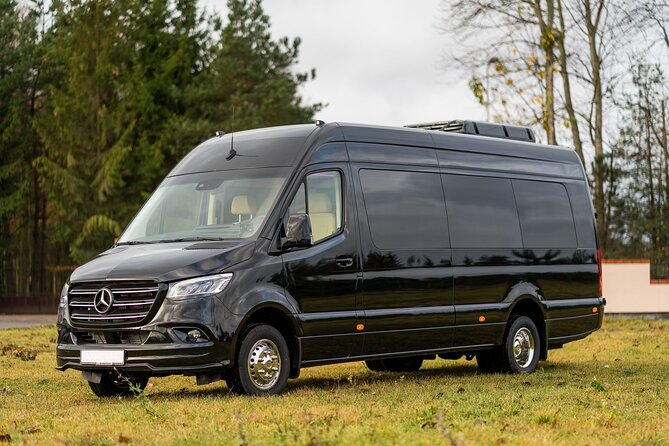Arrival Private Transfer from MAD Airport to Madrid in a Minibus - From Madrid-Barajas arrival hall to your private minibus