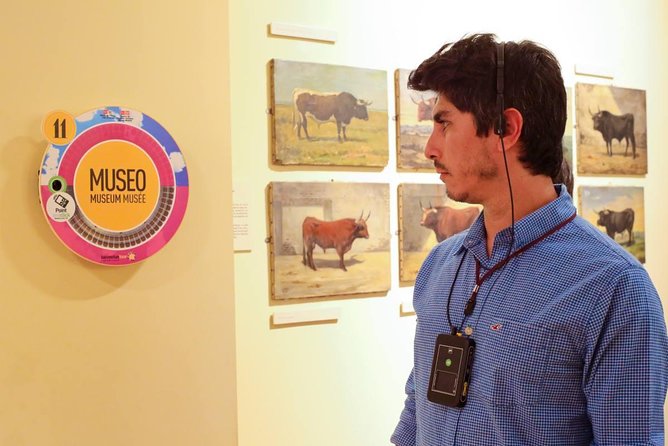 Audio Guided Tour of the Bullring of Las Ventas in Madrid - What the audio guide adds