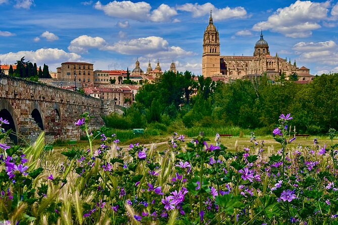 Avila and Salamanca : Magic and Small Group History from Madrid - The Madrid departure and the road west