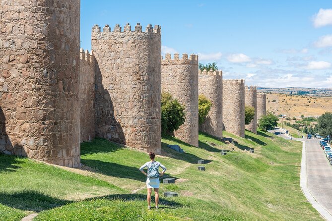 Avila & Salamanca Tour with Tickets to Cathedral + Medieval Wall - The Salamanca Cathedral ticket is worth choosing