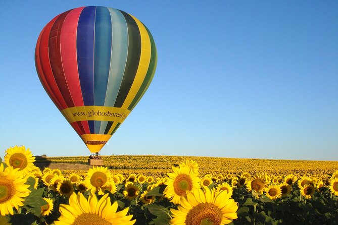 Balloon Ride Over Segovia or Toledo with Optional Transport from Madrid - The landing ceremony adds real value