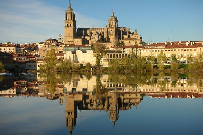 Best Private Full day Tour to Salamanca from Madrid hotel - Why Salamanca is worth the road from Madrid