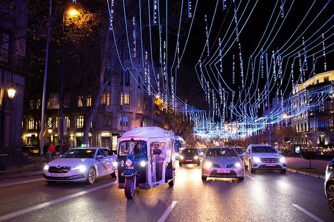 Christmas Lights Tour of Madrid in Eco Tuk Tuk Private - Columbus and the Discovery Gardens