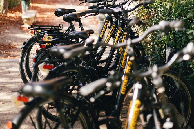 City Bike Rental with Phone Holder and Self Guided Tour - Eight hours, or a shorter rental?