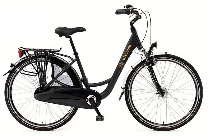 City Bike Rental with Phone Holder and Self Guided Tour - Service, bike condition, and backup help