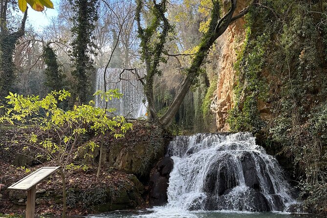 Explore the Stone Monastery and discover Sigüenza from Madrid - Sigüenza’s old streets and the Castle of the Bishops