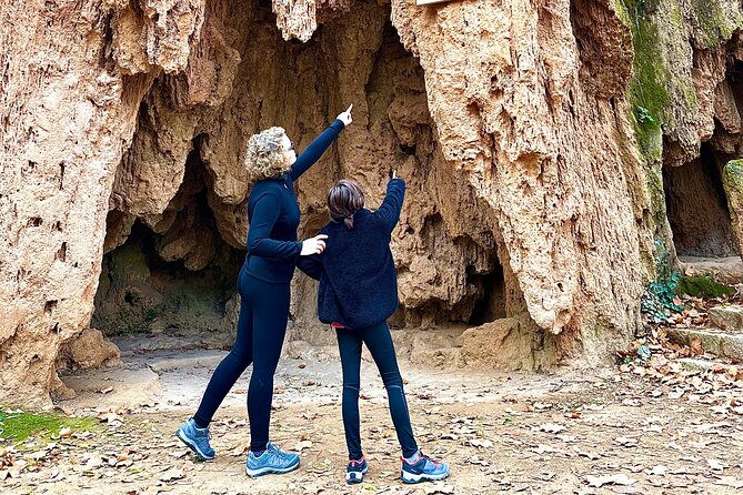 Explore the Stone Monastery and the Kingdom of Aragon from Madrid - A guide-led day with a personal feel