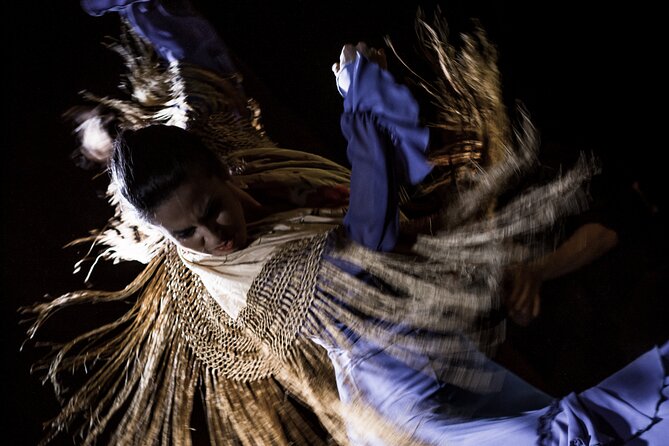 Flamenco Show at Café Ziryab: Madrid - A close-up flamenco evening at Café Ziryab