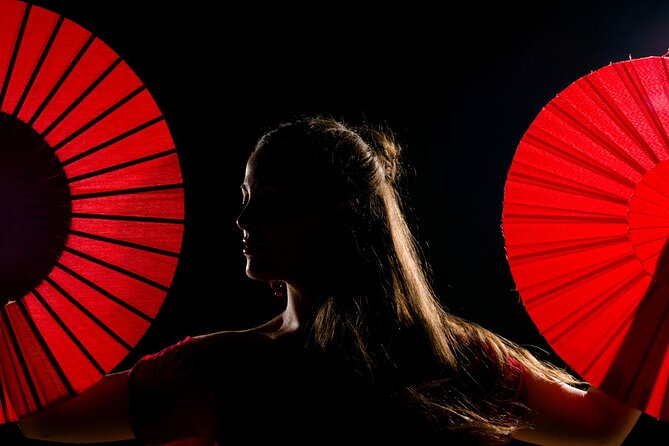 Flamenco show & tasting Tapas with panoramic views in Madrid - Tapas, wine, and a high view of La Latina