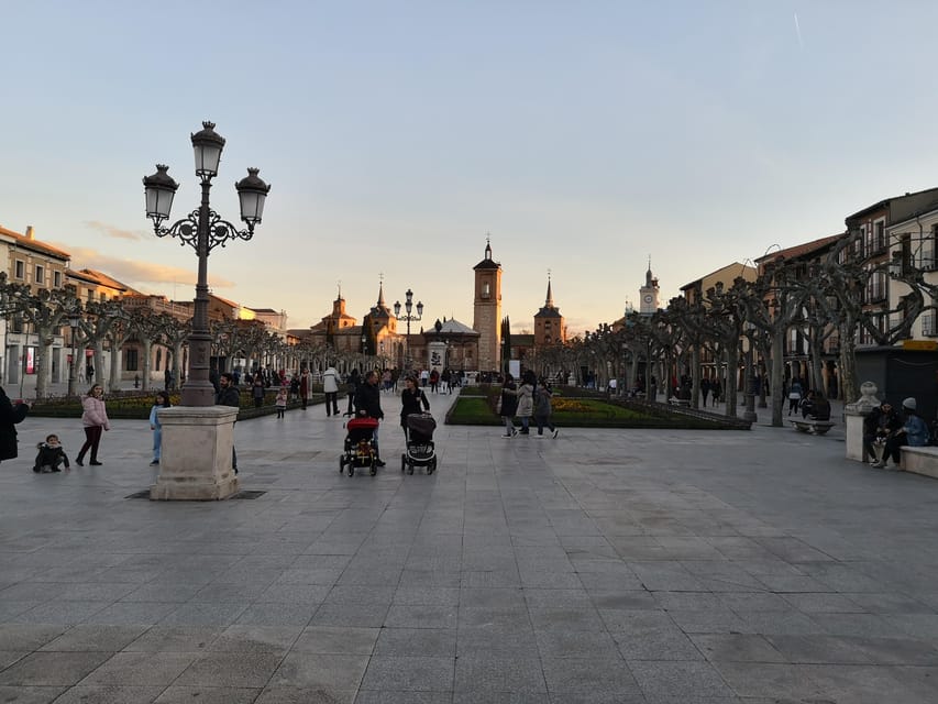 From Madrid: Alcalá de Henares, Winery Tour & Wine Tasting - Meeting in Plaza de España