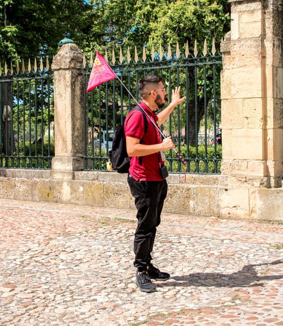 From Madrid: Ávila and Segovia Guided Day Trip - Segovia’s Roman aqueduct