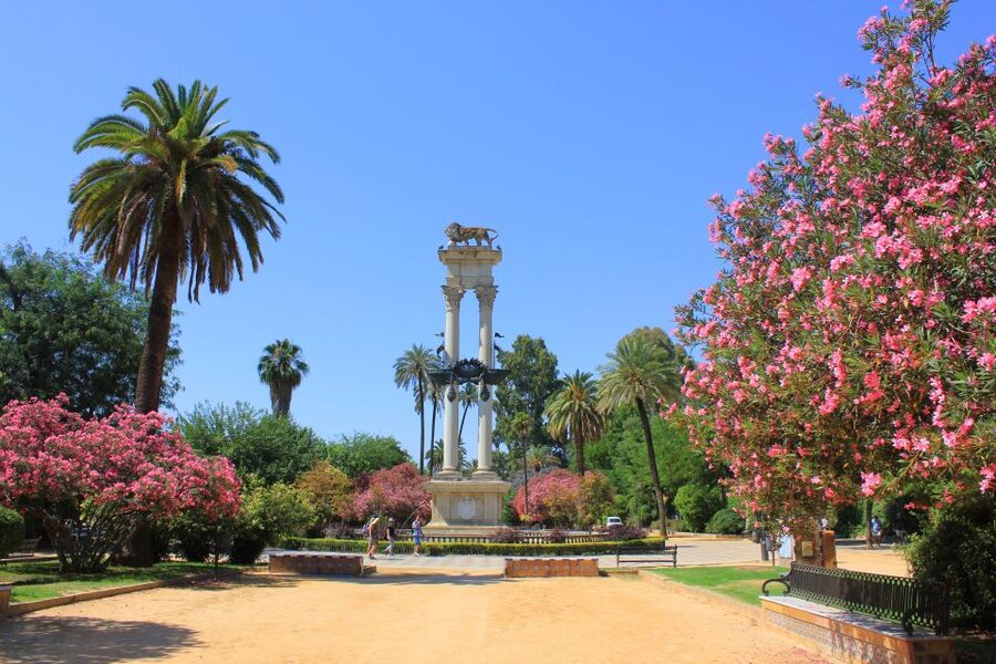 From Madrid: Best of Sevilla Day Tour with Train Transfers - The Real Alcázar upgrade: who should choose it