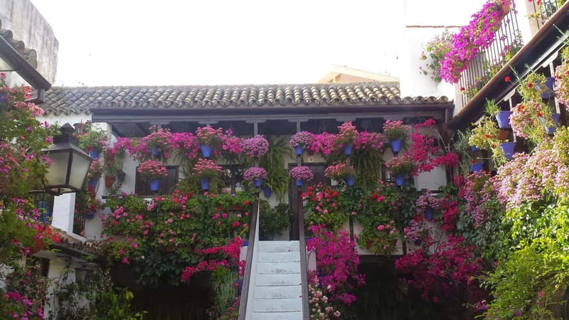 From Madrid: Cordoba and Mosque Day Trip by High-Speed Train - Meeting your Córdoba guide at the station