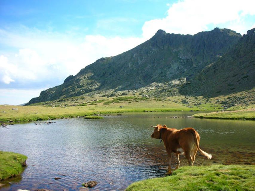 From Madrid: Day Trip to Guadarrama National Park - Two hours among the rocks at La Pedriza