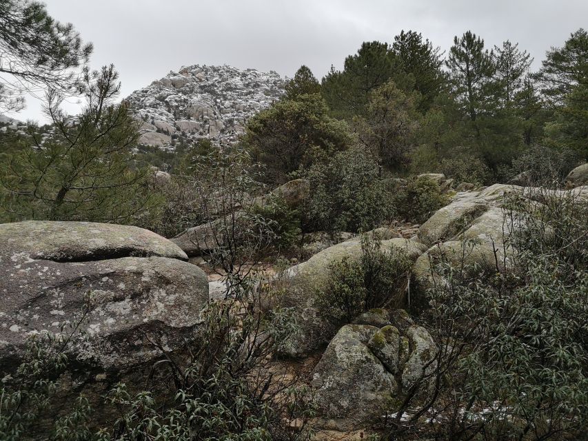 From Madrid: Day Trip to Guadarrama National Park - Rascafría and the return to Madrid