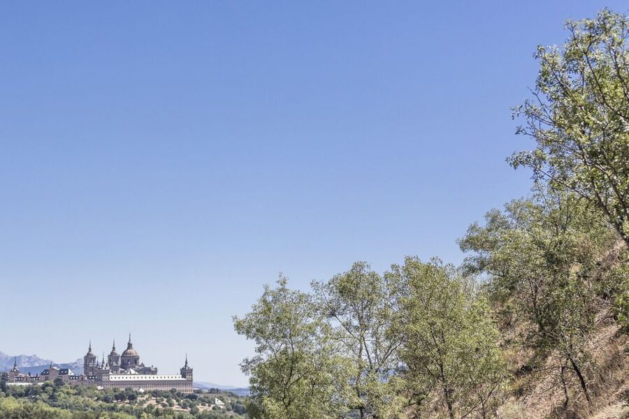 From Madrid: Escorial Monastery & Valley of the Fallen Trip - The stairs and the limits of a 90-minute visit