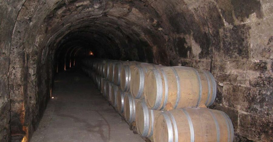 From Madrid: Ribera del Duero Tour of 3 Wineries w/ Tastings - First winery: a modern introduction to Ribera del Duero