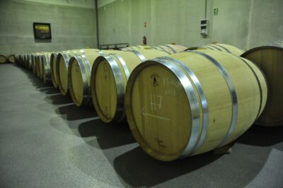 Ribera del Duero Tour of 3 Wineries w/ Tastings