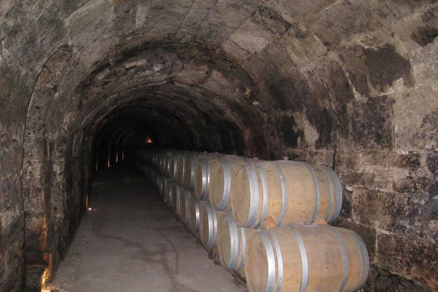 From Madrid: Ribera del Duero Tour of 3 Wineries w/ Tastings - Who will enjoy this tour most