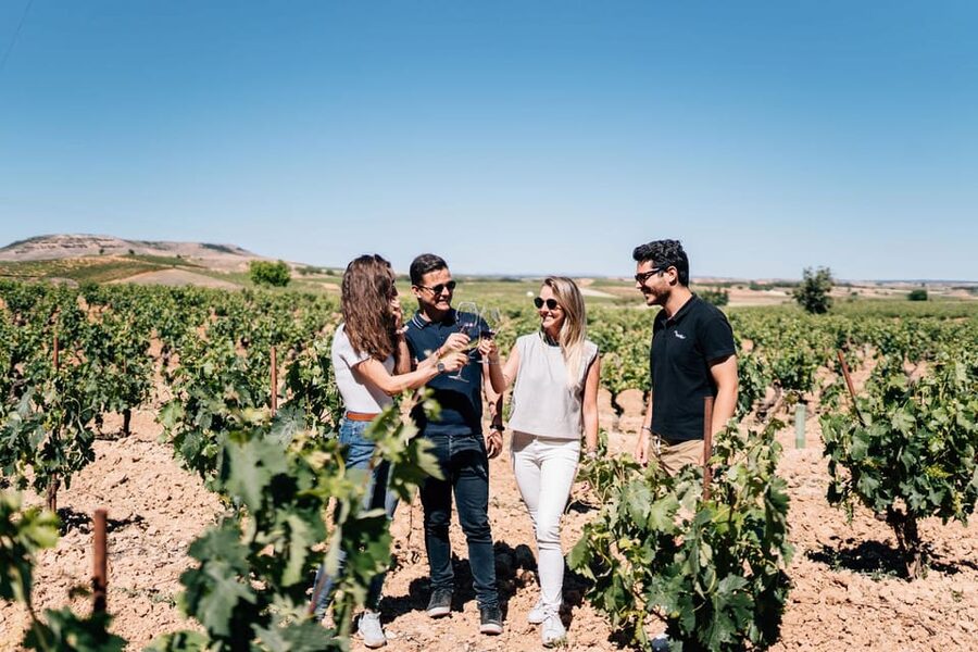 From Madrid: Ribera del Duero Winery and Segovia Tour - Key points at a glance