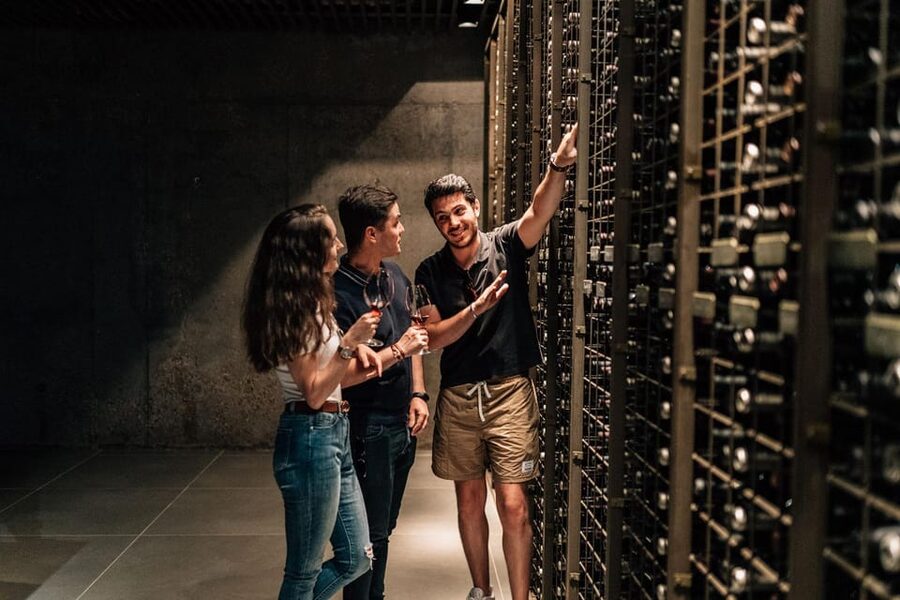 From Madrid: Ribera del Duero Winery and Segovia Tour - One and a half hours to make Segovia your own