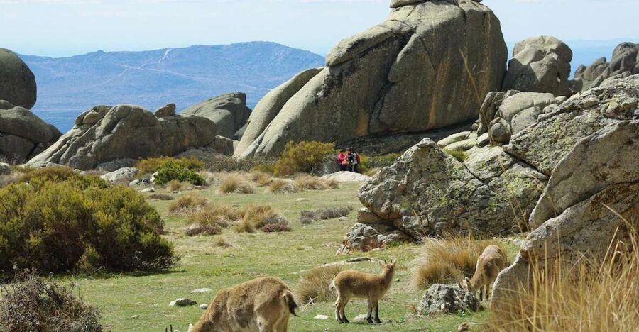 From Madrid: Sierra de Guadarrama Hiking Day Trip - Leaving Madrid for mountain air