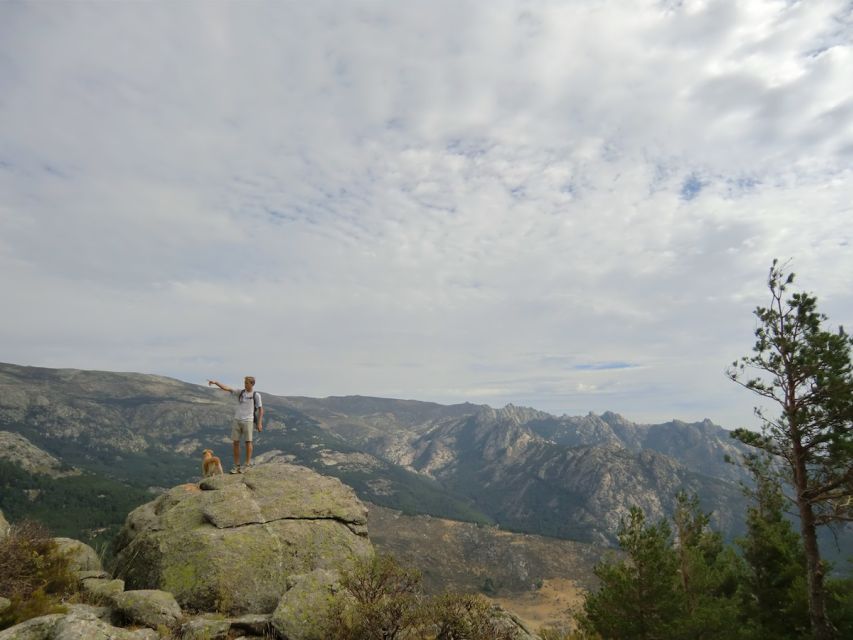 From Madrid: Sierra de Guadarrama Hiking Day Trip - A guide who adjusts the day to you