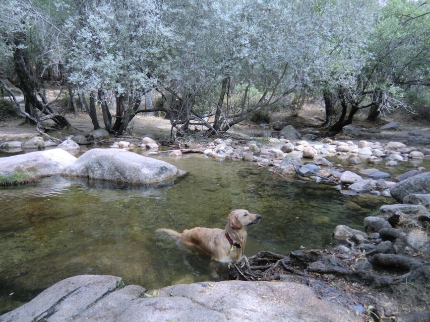 From Madrid: Sierra de Guadarrama Hiking Day Trip - The best seasons and weather questions