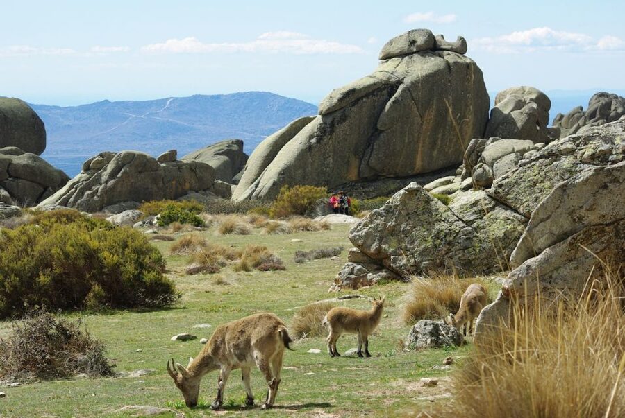 From Madrid: Sierra de Guadarrama Hiking Day Trip - Four hours among the Sierra’s rocks and rivers