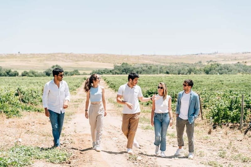 From Madrid: Toledo City Tour and Wine Tasting Experience - The guide can make or break the day