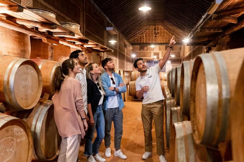 From Madrid: Toledo City Tour and Wine Tasting Experience - Why Toledo and wine make a smart day trip