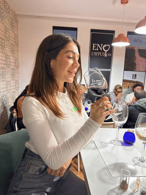 From Madrid: Toledo Tour with Wine Tasting and 3 Monuments - The Mirador del Valle view