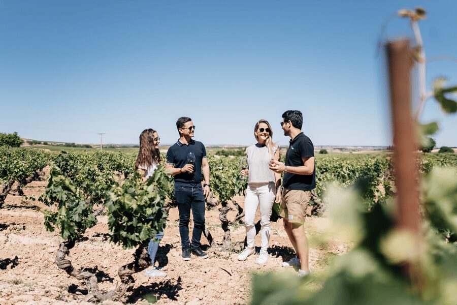 From Madrid: Traditional Villages, Winery Tour & Tapas Lunch - Why this day trip works beyond Madrid’s city center