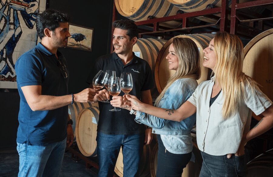 From Madrid: Traditional Villages, Winery Tour & Tapas Lunch - Should you book this Madrid wine and village tour?