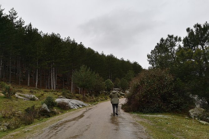 Full-Day Private Guided Tour to Guadarrama National Park - Eleven ecosystems in one protected mountain area