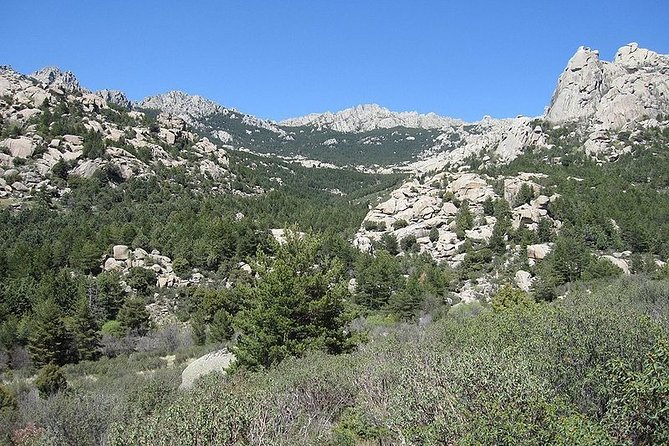 Full-Day Private Guided Tour to Guadarrama National Park - Who will get the most from this tour