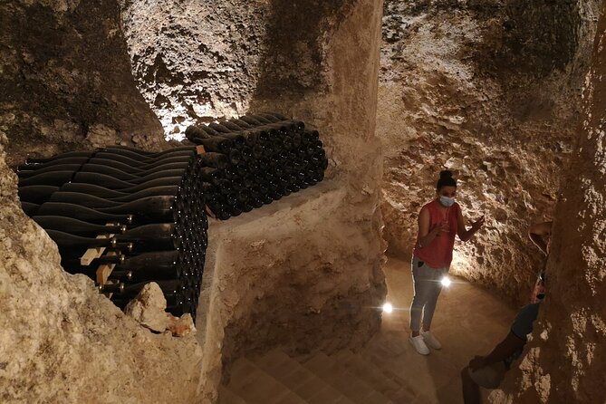 Guided Madrid Countryside Wine Tasting & Winery Tour - Leaving Madrid at 9:30 am