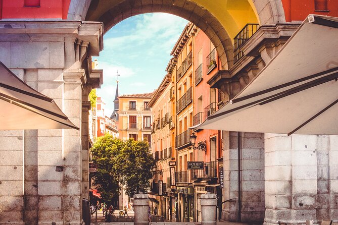 Guided Tour of Madrid of the Austrias and the Historic Center - Starting under the bear at Puerta del Sol