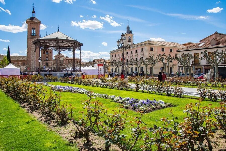 Half-Day Trip from Madrid: Alcalá de Henares & Winery Visit - Why Alcalá de Henares makes a good Madrid side trip