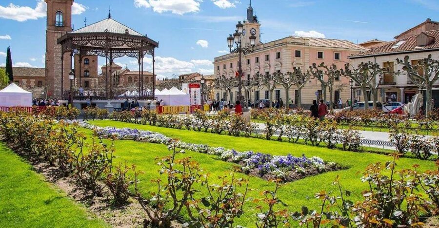 Half-Day Trip from Madrid: Alcalá de Henares & Winery Visit - Is $105 a fair price?