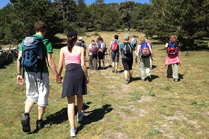 Hiking in Madrid National Park with Transport - The value of hotel pickup and transport
