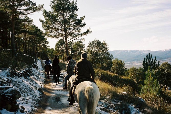 Horse Riding Madrid Natural Park - Key Points Before You Book