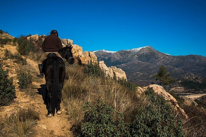 Horse Riding Madrid Natural Park - From Madrid Streets to Sierra Mountain Trails
