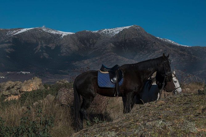 Horse Riding Madrid Natural Park - Why the Small Group Size Helps