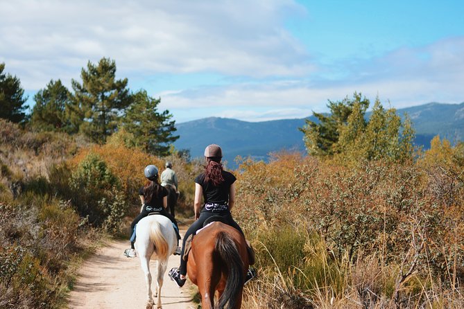 Horse Riding Madrid Natural Park - Who Will Enjoy This Ride Most