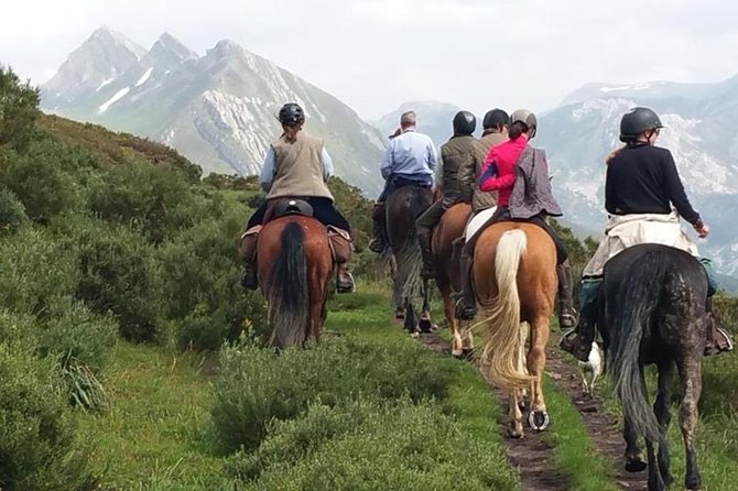 Horse Riding Madrid Natural Park (long Trip) - Key points to know before booking