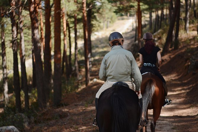 Horse Riding Madrid Natural Park (long Trip) - Choosing the right riding level